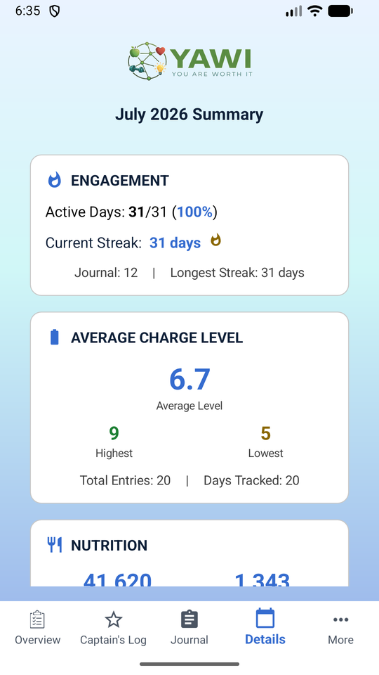 A monthly summary of tracked entries